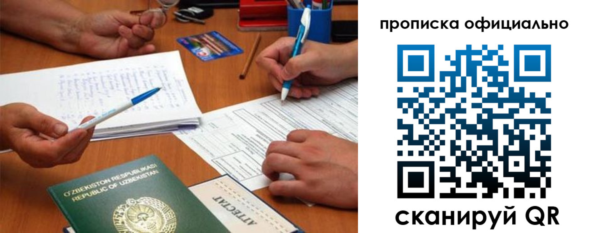 прописка поиск в Ермолино